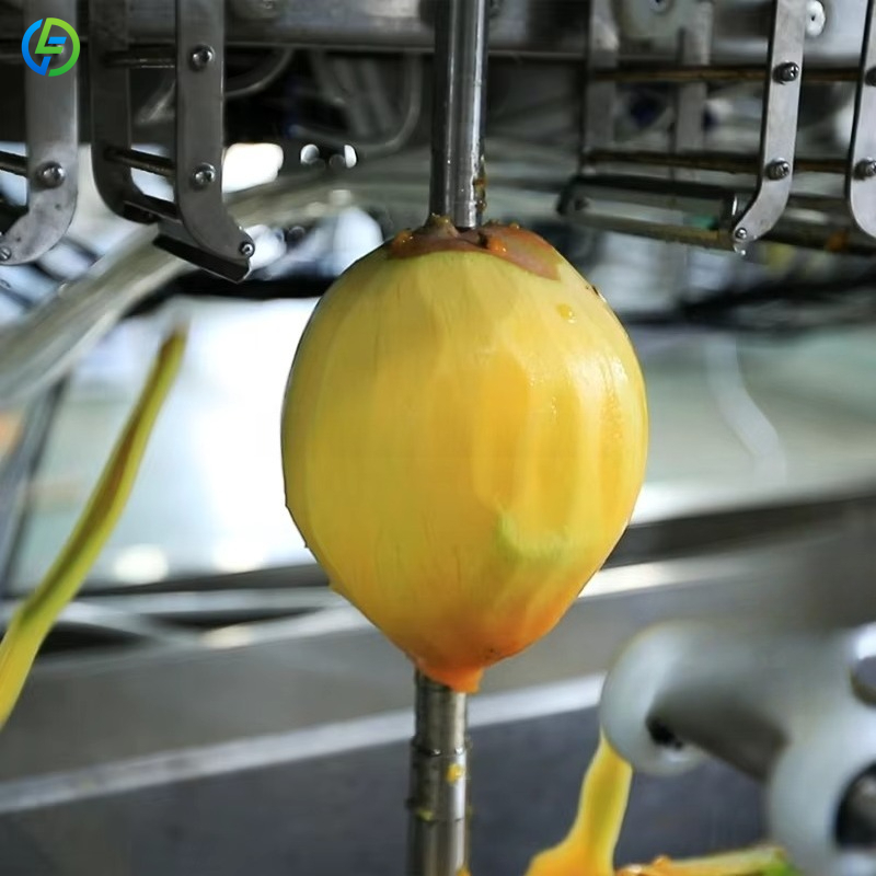 Sebze ve Meyve Soyma Makinesi  - Ice Cream Pasteurizer Machine incelemesi ve fiyatı